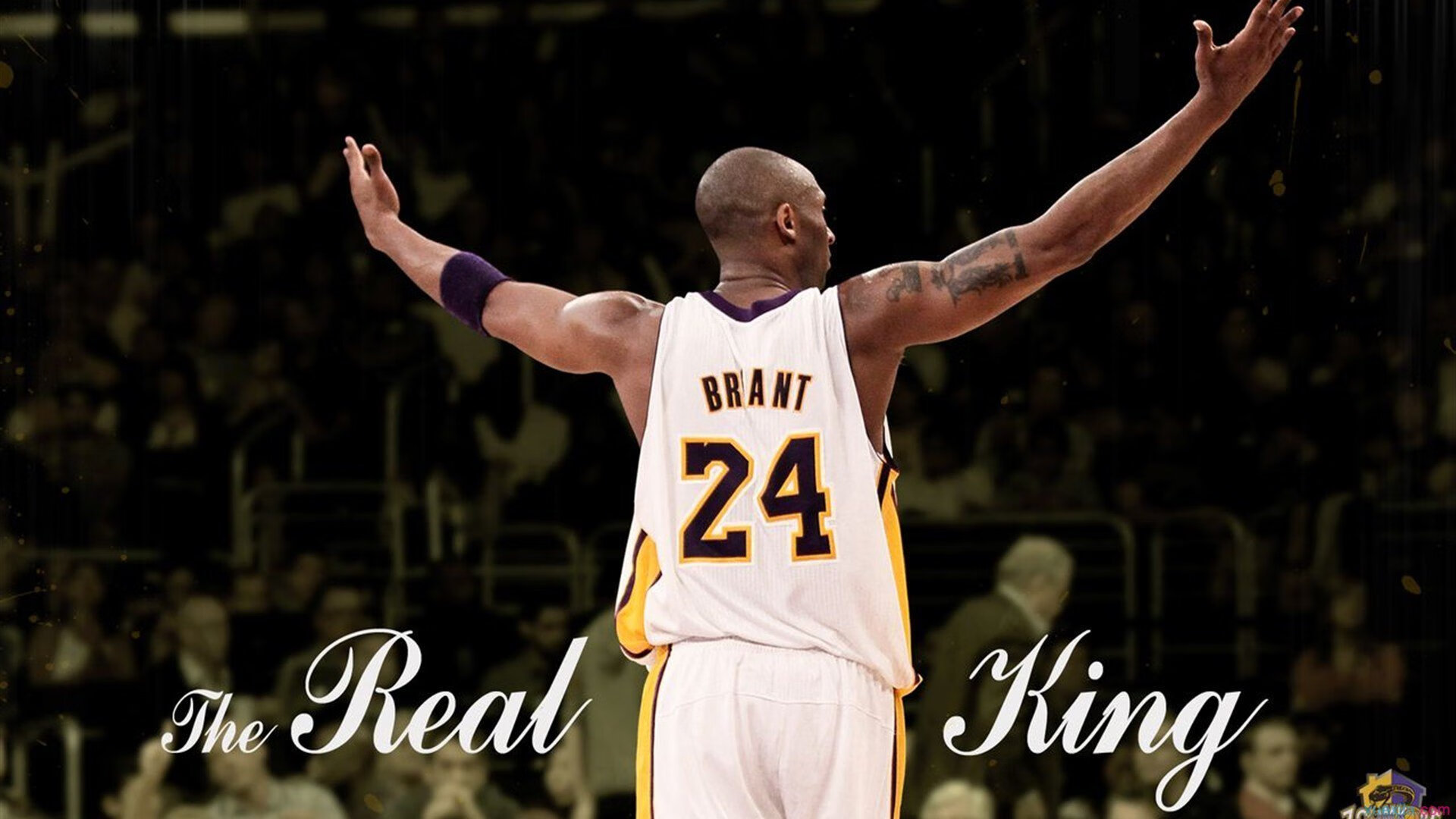 苏亚雷斯末节接管比赛，加拿大带走喀麦隆